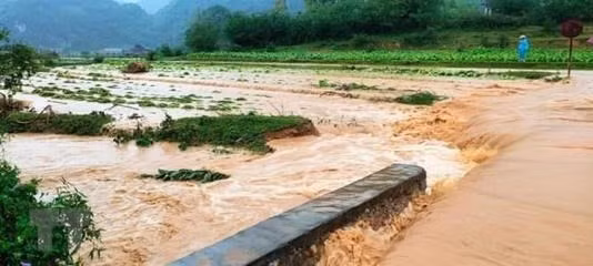 越南北部山区省份主动应对危险天气 ảnh 1