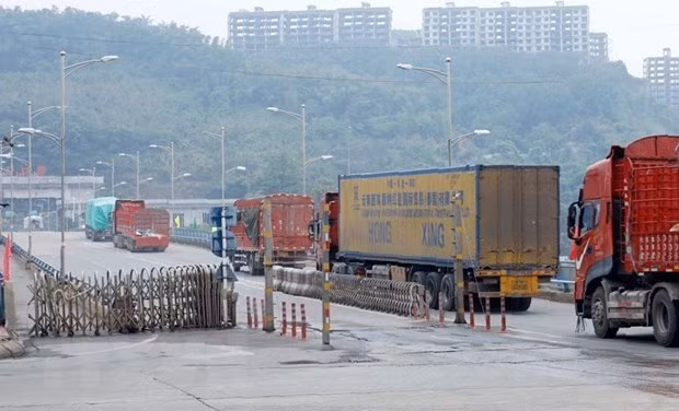 老街省设立新冠疫情安全“绿区” 为进出口活动提供便利 ảnh 1