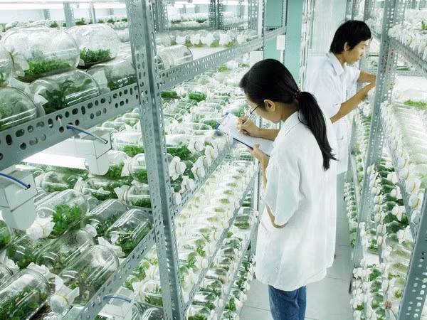 以色列驻越南大使阿斯卡尔：越南政府在新冠肺炎疫情防控努力中取得巨大成功 ảnh 3