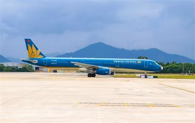 外交部例行记者会：黎氏秋姮就越航从日本飞往越南途中受到威胁的航班提供更多信息 ảnh 1