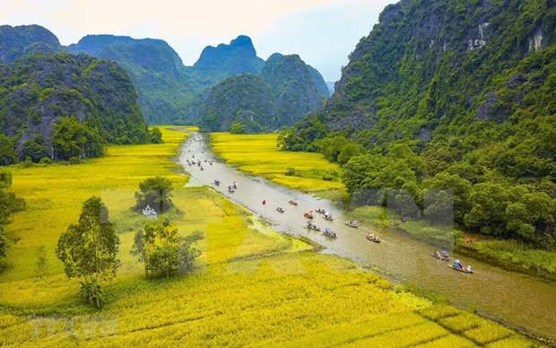 宁平省摄影业在国际摄影比赛中取得优异成绩 ảnh 1
