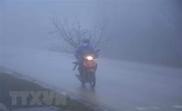 越南北部天气严寒 山区局地气温低于5摄氏度 ảnh 1