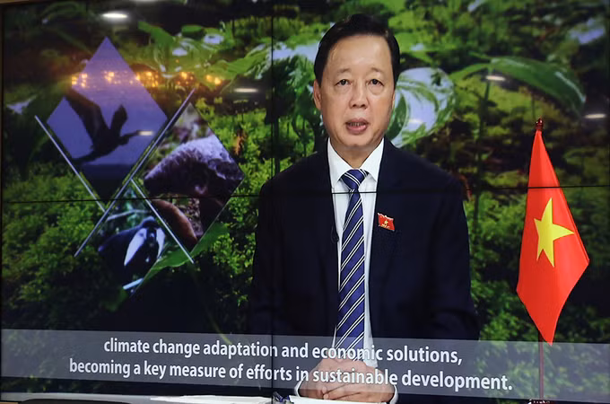  越南自然资源与环境部长在联合国生物多样性峰会上发表讲话 ảnh 1