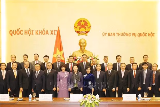 国会主席阮氏金银会见越南驻外大使和代表机构首席代表 ảnh 1