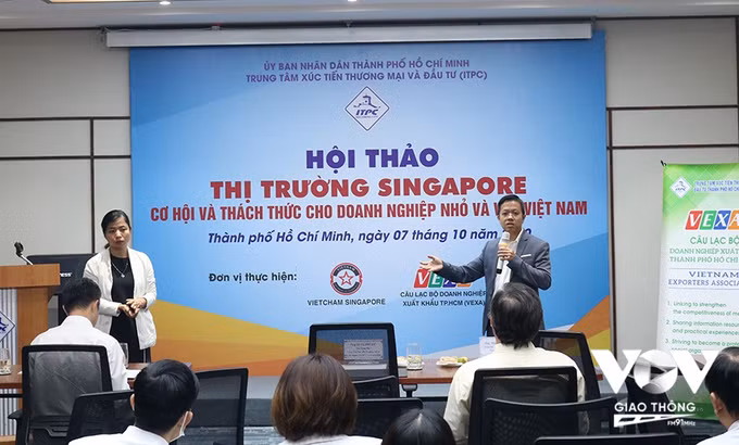 新加坡——越南中小企业走向世界的桥梁 ảnh 1