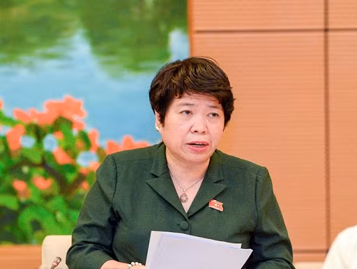 越南第十四届国会第十次会议：增加对艾滋病防治工作的国内资源 ảnh 2