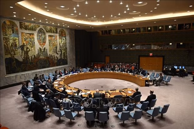 联合国安理会就委内瑞拉局势召开视频会议 越南支持进行对话寻找长期和平解决方案 ảnh 1