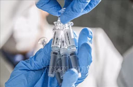 泰国开始在藏酋猴上测试新冠肺炎疫苗 马来西亚新增确诊病例突增 ảnh 1