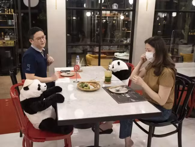 在泰国的越南餐厅采用创新的隔离式就餐办法 ảnh 1