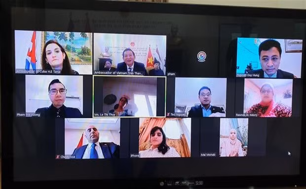“胡志明主席——民族解放英雄、文化名人”的视频研讨会在埃及举行 ảnh 1