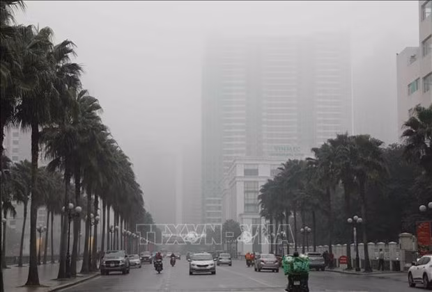 加强空气污染管控切实改善城市空气质量 ảnh 1