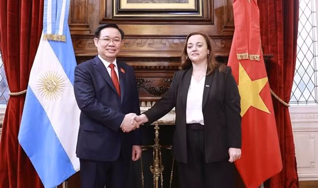 越南国会主席王廷惠与阿根廷众议长塞西莉亚·莫罗举行会谈 ảnh 1