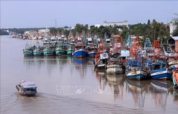解除IUU“黄牌”警告：坚江省严厉惩治侵犯外国海域的渔船 ảnh 1