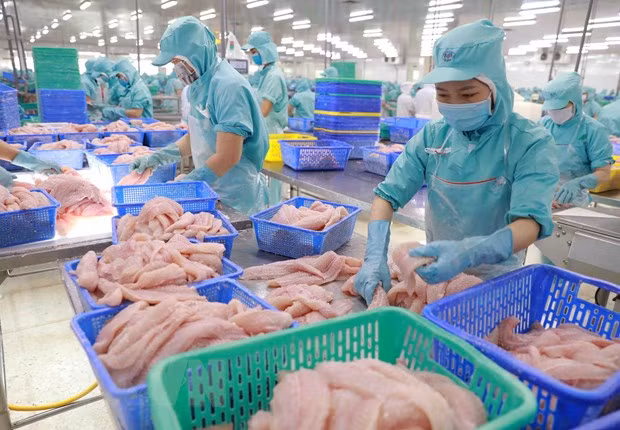 中国市场大幅增加越南水产品的进口 ảnh 1