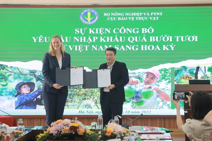 越南新鲜柚子正式准许出口美国市场 ảnh 1