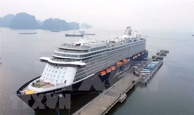 广宁省下龙湾迎来载有2000多名国际游客的邮轮 ảnh 1