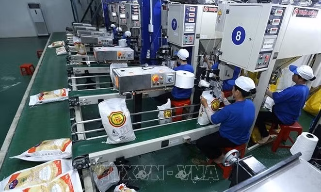 越南大米出口价格上涨近10% ảnh 1