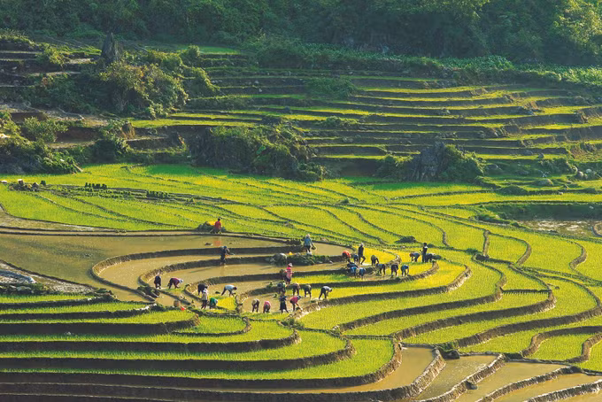 老街省沙坝旅游120周年的印迹 ảnh 2