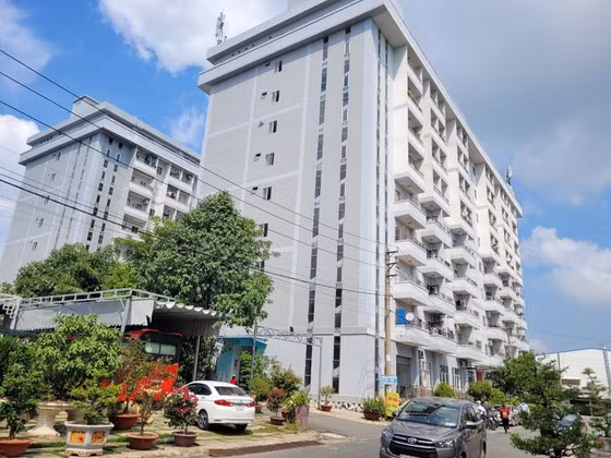 胡志明市关注发展社会保障性住房和工人宿舍 ảnh 2