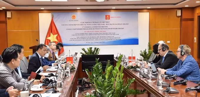 越南-丹麦2020-2025年能源伙伴计划不断推进 ảnh 1
