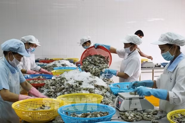 老挝媒体：2022年越南与老挝贸易总额预计增长率达10%以上 ảnh 1