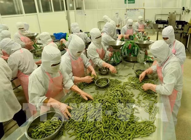 2022年第一季度安江省出口呈增长势头 ảnh 1