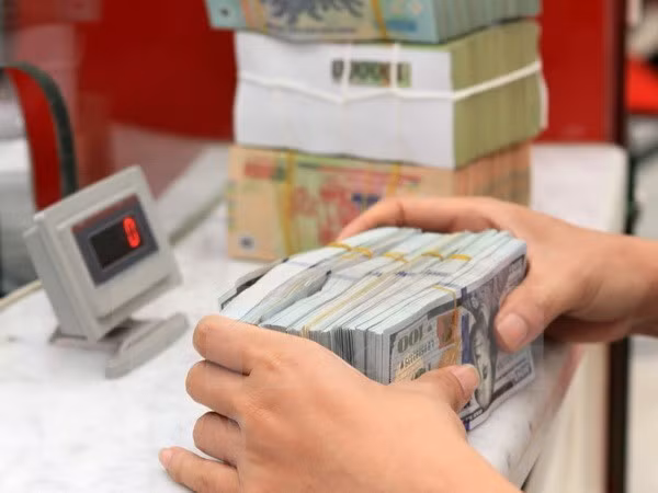 2月10日上午越盾对美元汇率中间价继续下调4越盾 ảnh 1