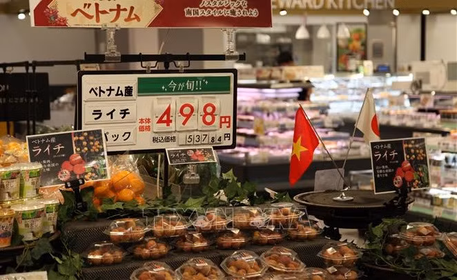 越南对日本出口的农水产品和食品的空间巨大 ảnh 1