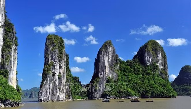 下龙湾世界遗产周在阿联酋2020年迪拜世界博览会举行 ảnh 2