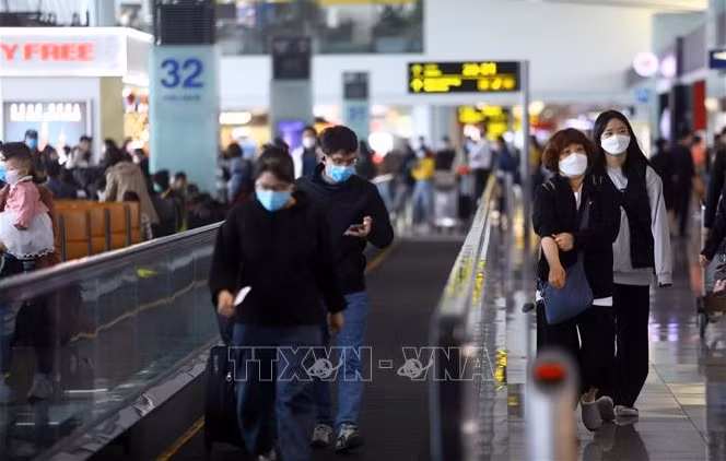 越南出台针对国际游客的三项新规 ảnh 1