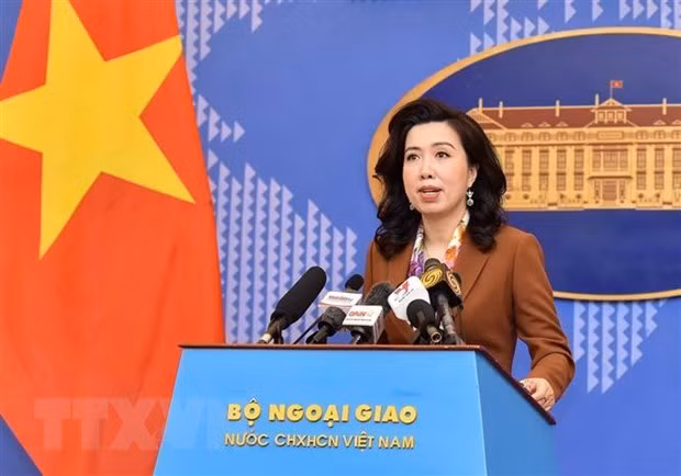 越南外交部例行记者会：提前准备措施与方案 维护越南公民合法权益 ảnh 1