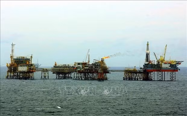 越南国家石油公司 1 月份原油产量以24.2%超额完成目标 ảnh 1