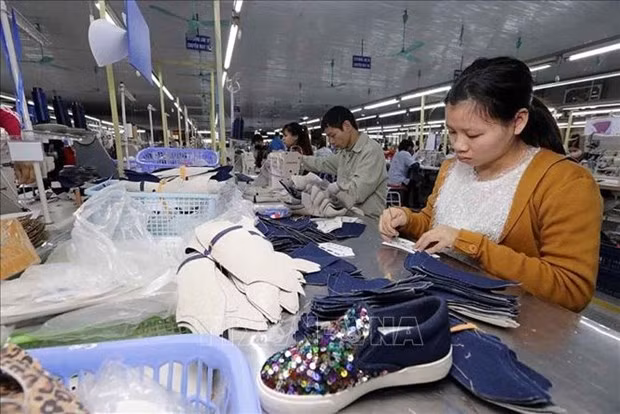  德国媒体和企业界人士高度评价EVFTA带来的机遇 ảnh 1