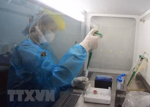 新冠肺炎疫情：越南新增一例境外输入性病例 ảnh 1
