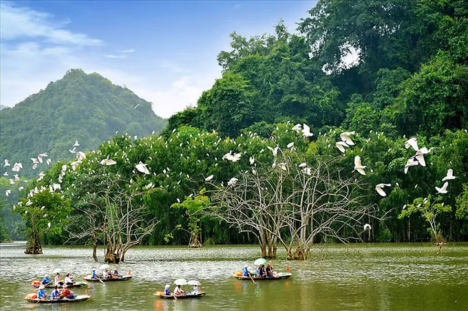 竭尽全力促进旅游业复苏 推广越南安全旅游目的地的形象 ảnh 1