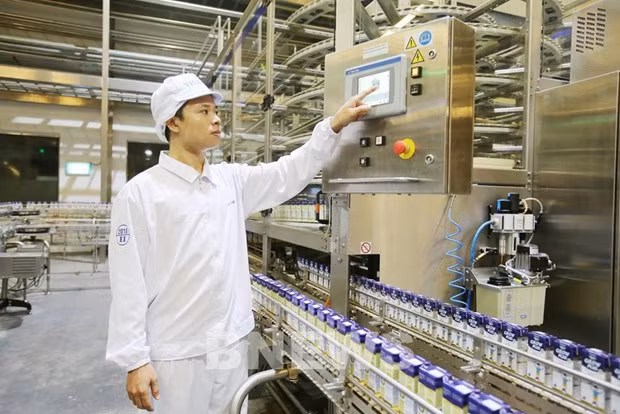 越南乳业股份公司产品进军韩国市场 ảnh 1